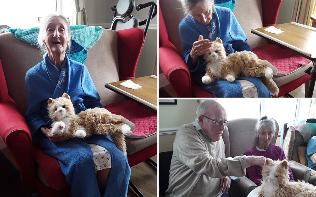 Cuddles with Boo at Silverpoint Court Residential Care Home