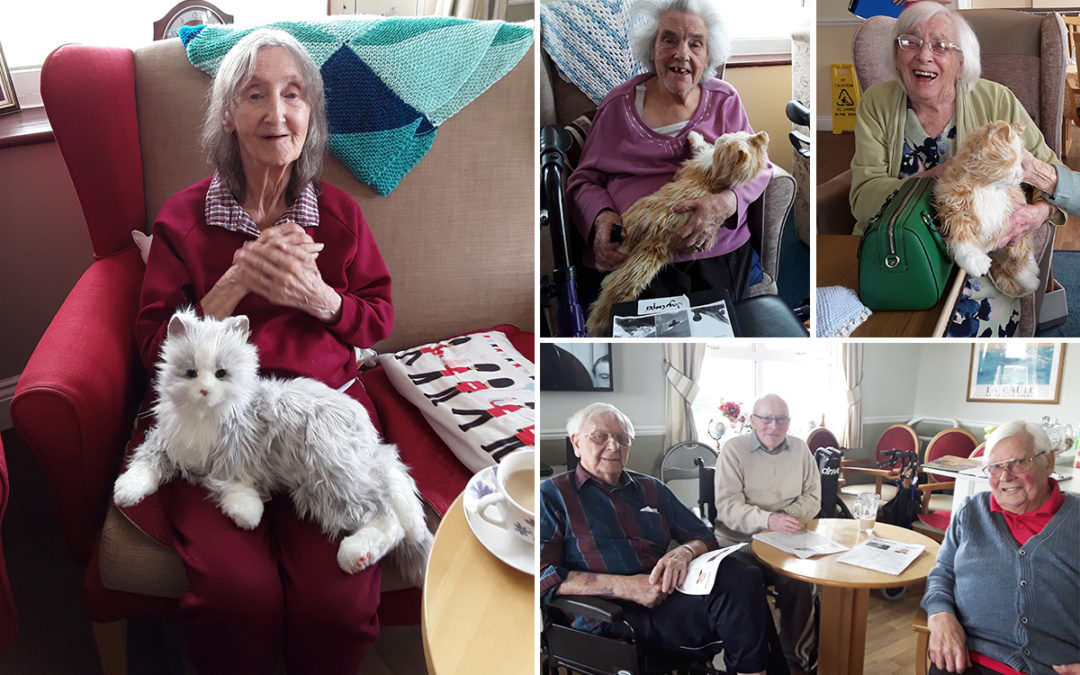 Feline friends and Sparkle Quiz fun at Silverpoint Court Residential Care Home