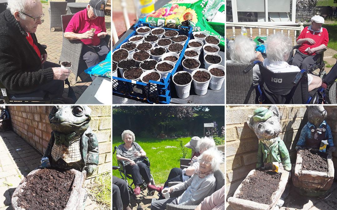 Silverpoint Court Residential Care Home residents plant sunflower seeds