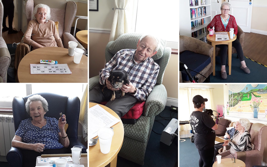 Bingo and a furry friend at Silverpoint Court Residential Care Home