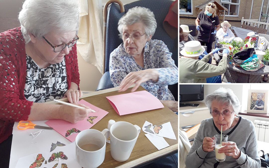 Gardening capers and art club at Silverpoint Court Residential Care Home