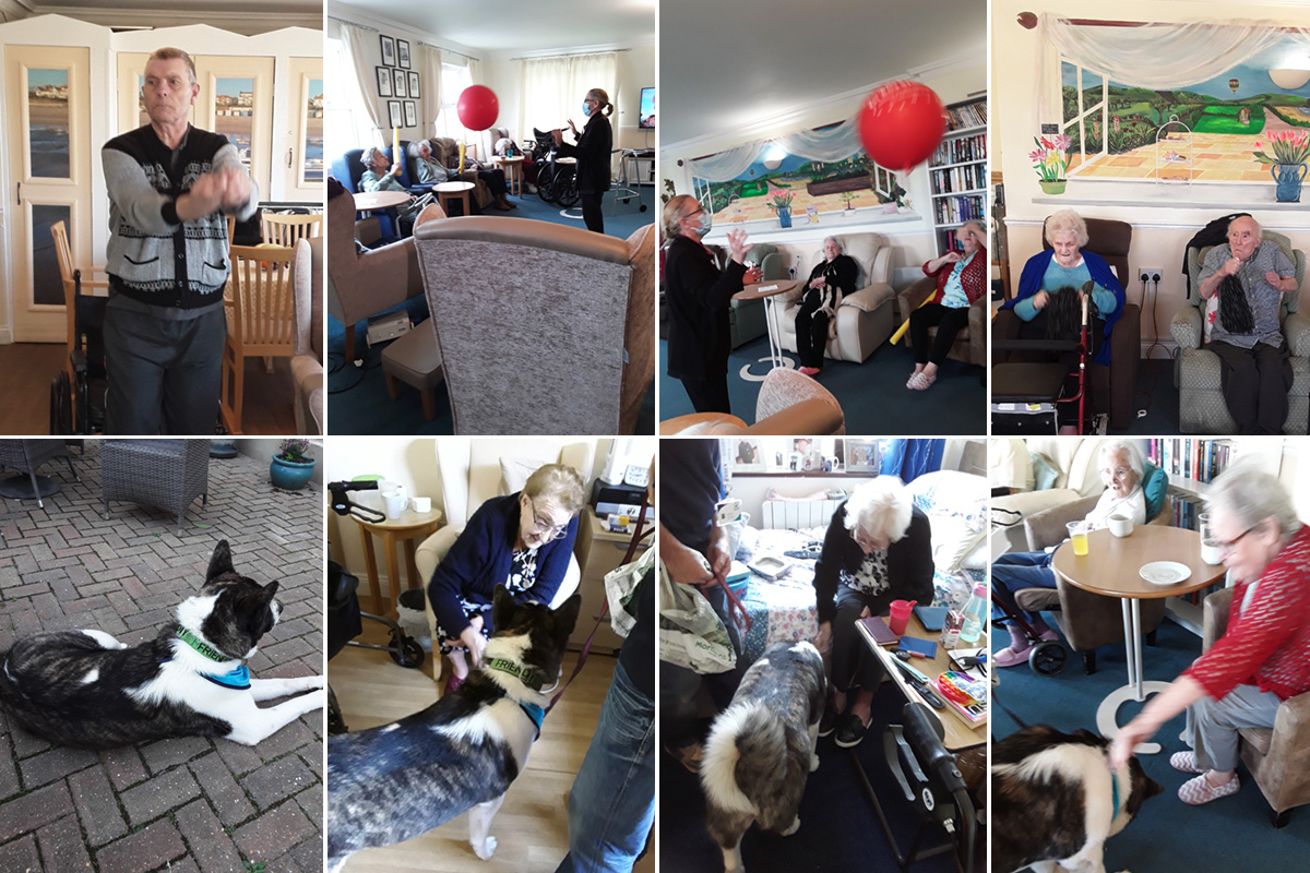 Exercises and Pet Therapy at Silverpoint Court Residential Care Home