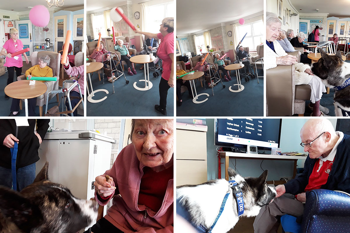 Silverpoint Court Residential Care Home residents enjoying balloon tennis and Skye the dog