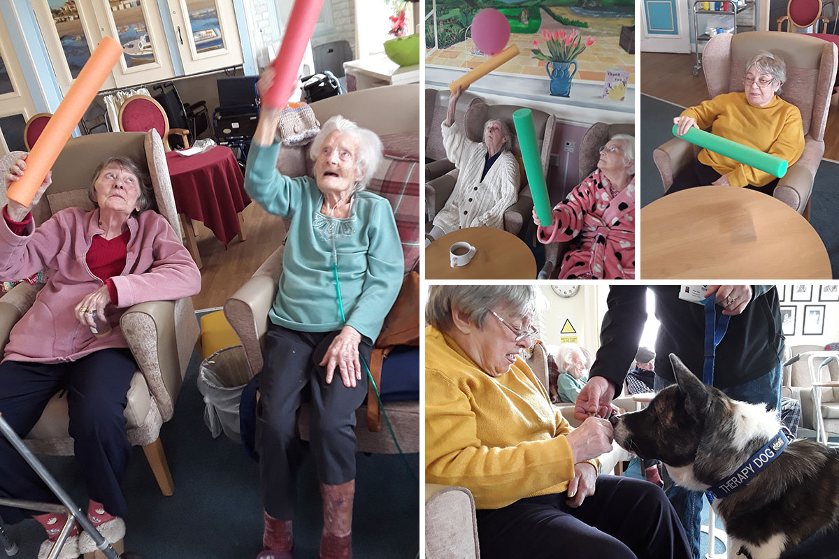Pet Therapy and balloon tennis at Silverpoint Court Residential Care Home