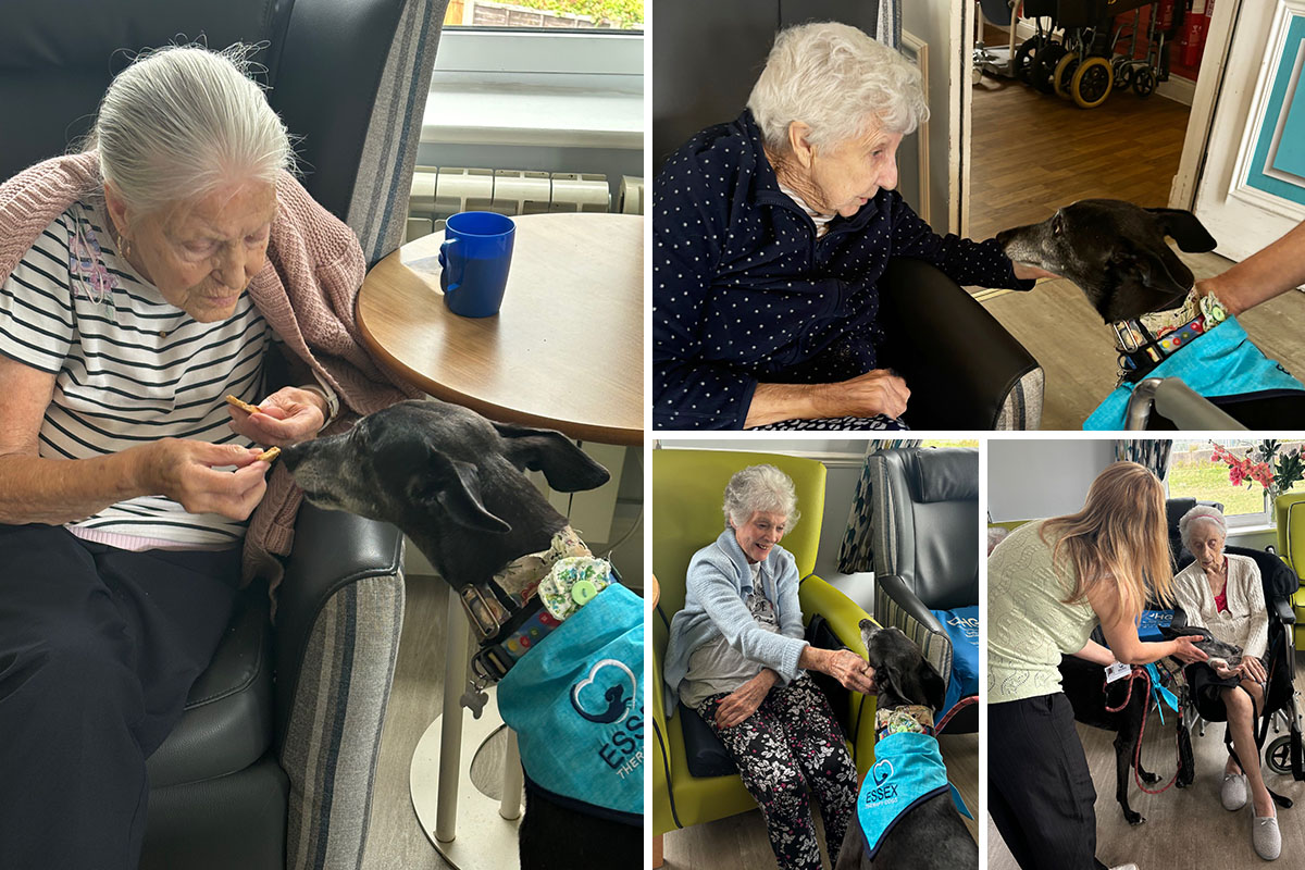 A visit from Jag and tea room outings at Silverpoint Court Residential Care Home