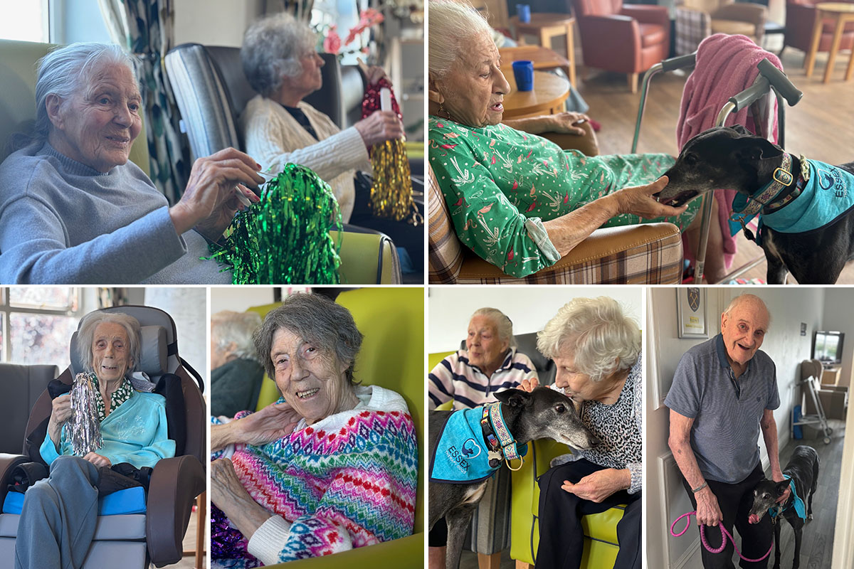Music, movement and a Pet Therapy visitor at Silverpoint Court Residential Care Home